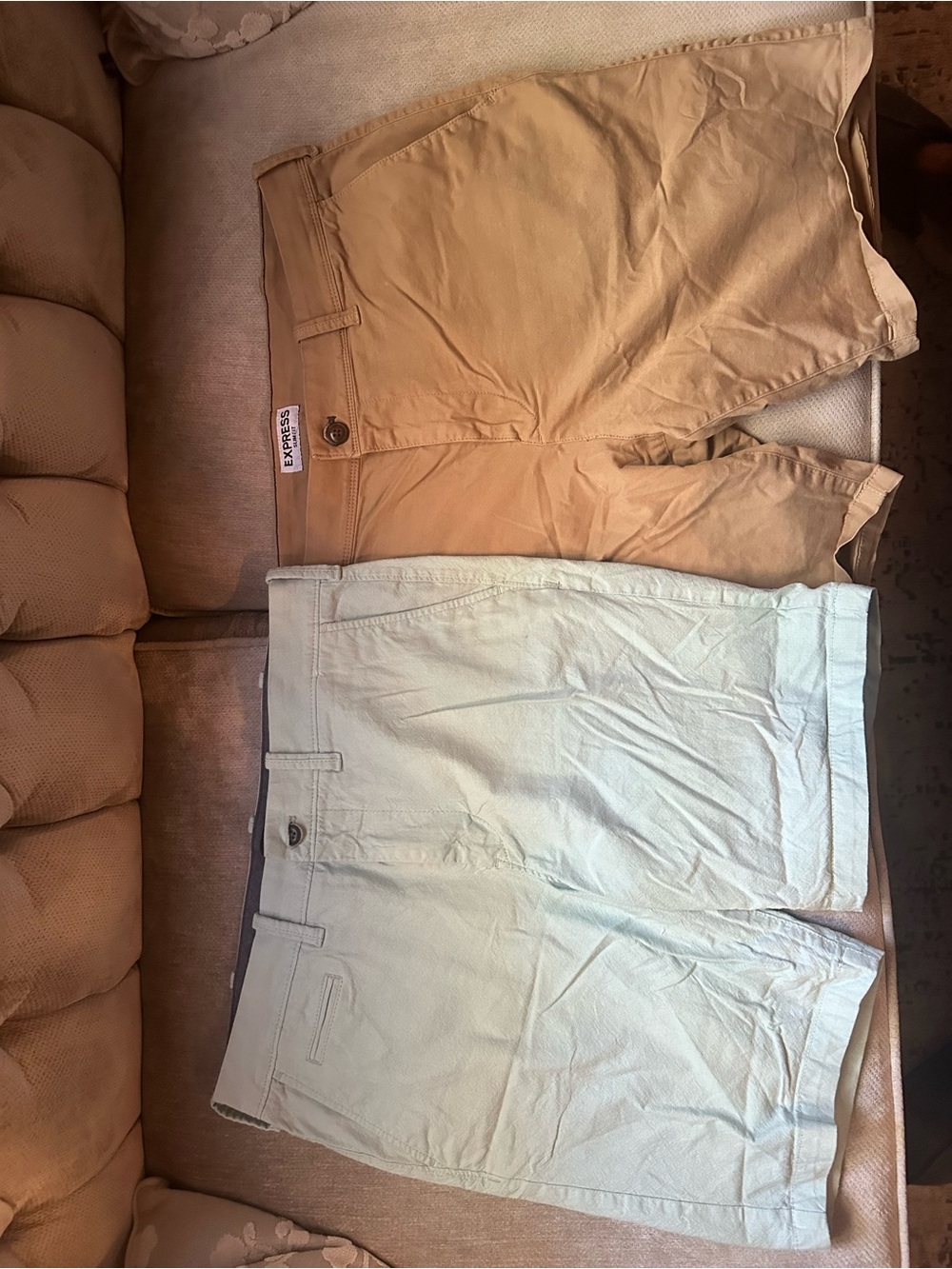 Express Gray Shorts with Light Mint Trim